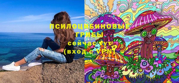 мескалин Инта