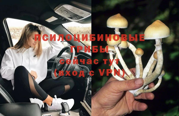 мескалин Инта