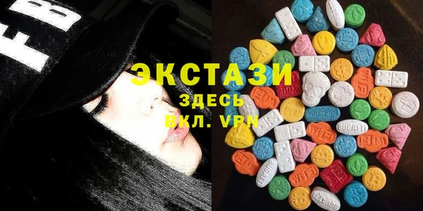 индика Надым