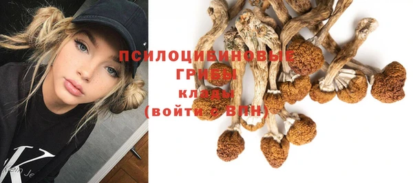 таблы Иннополис
