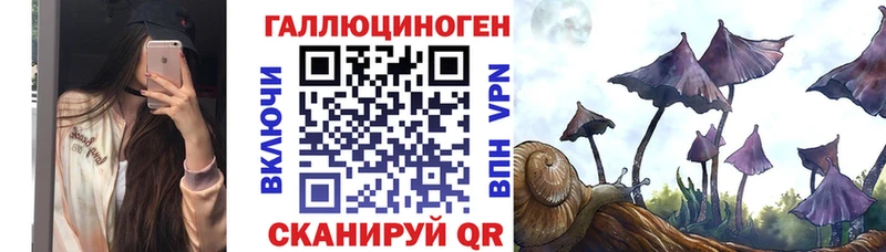 как найти закладки  hydra tor  Псилоцибиновые грибы Psilocybe  Калининск 
