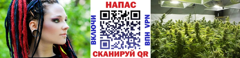 сколько стоит  KRAKEN маркетплейс  Марихуана семена  Калининск 